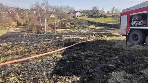 Do pożaru traw doszło w miejscowości Sanka