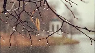 Mgły, chmury, deszcz. Pogoda na dziś