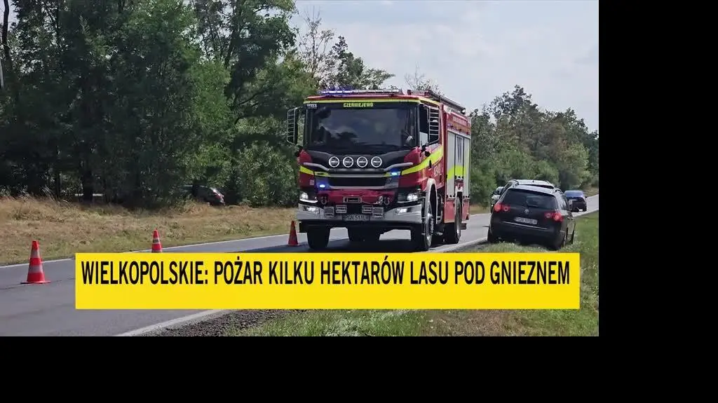 pozar lasu
