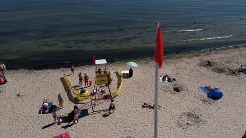 Sinice na polskim wybrzeżu. Ekspertka: sytuacja rozwija się dynamicznie