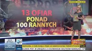 Kilkadziesiąt godzin, dwa zamachy i wybuch. Część 2
