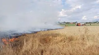 Tragedia na polu pod Wieluniem