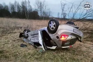 Dachowanie w Mrzygłodzie