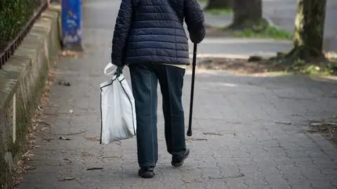 Był zagubiony, szedł środkiem ulicy. W powrocie do domu pomógł mu nieśmiertelnik