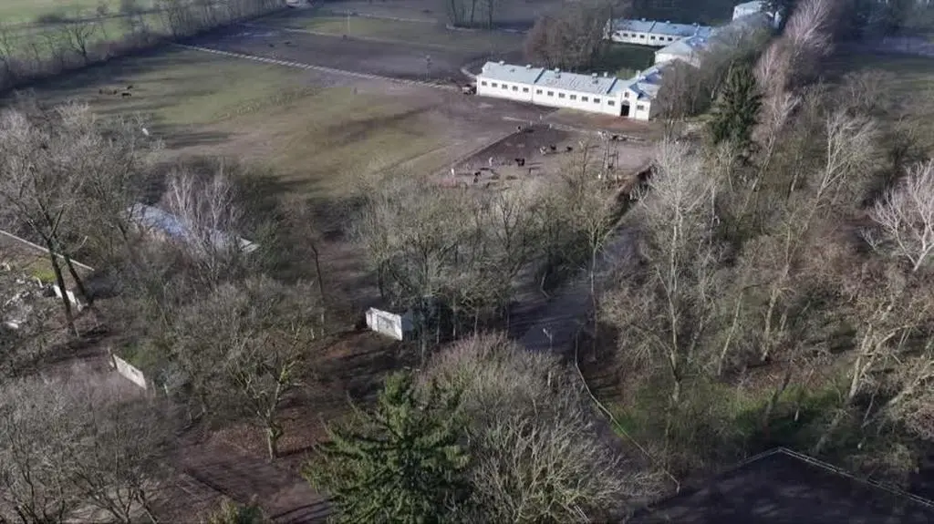 dron