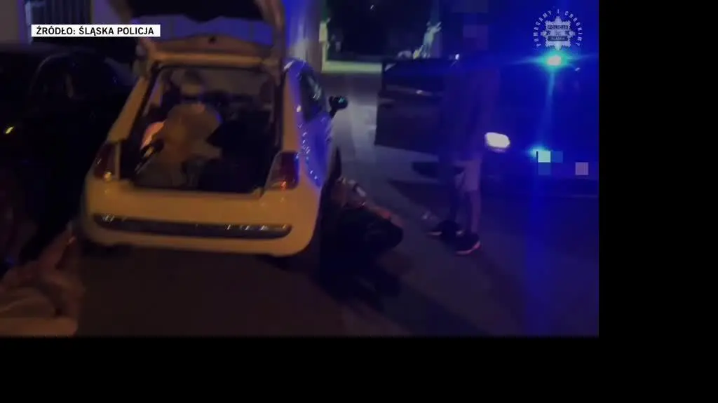 slaska policja