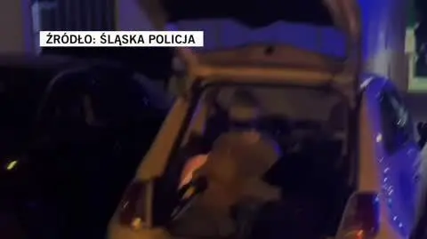 slaska policja