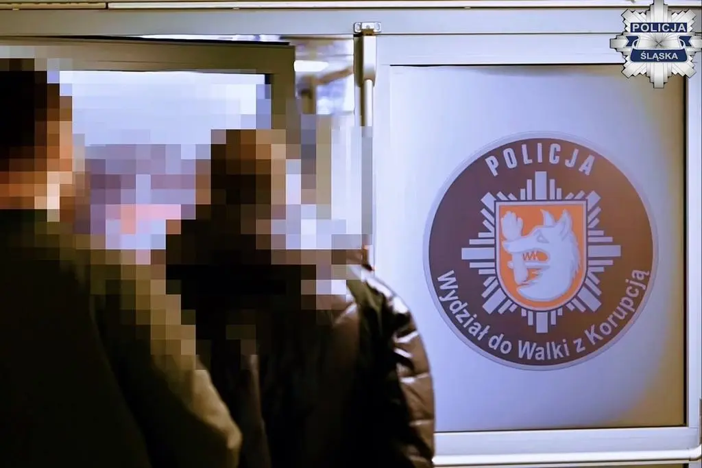 28 zarzutów dla lekarza