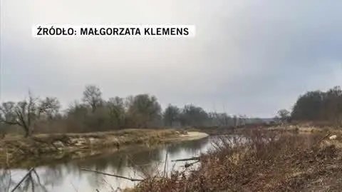 Małgorzata Klemens