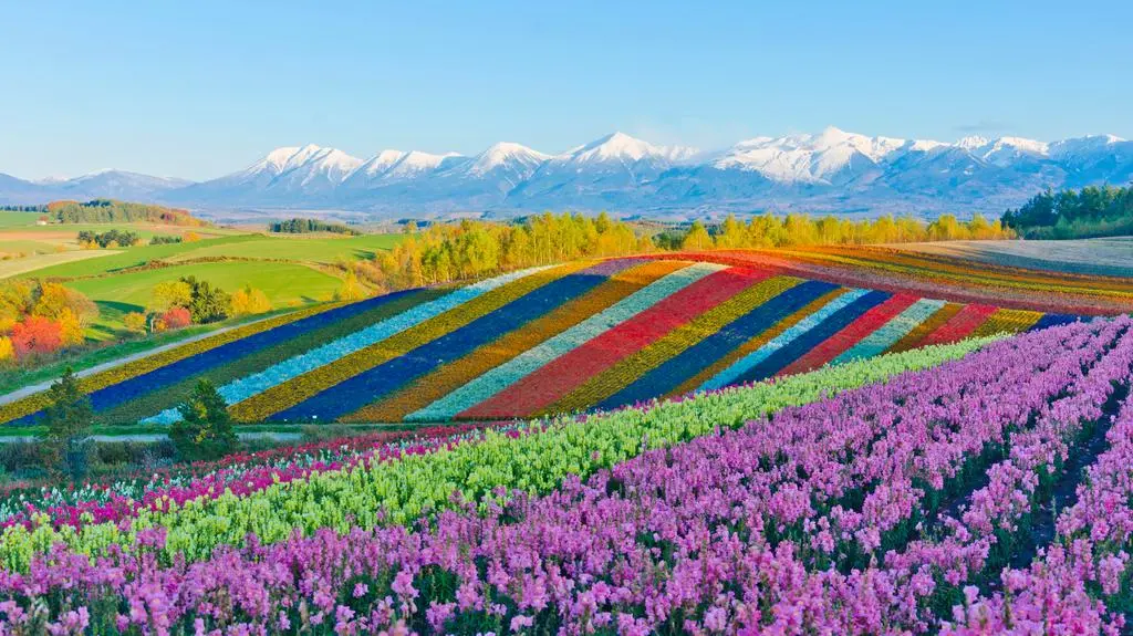 Hokkaido