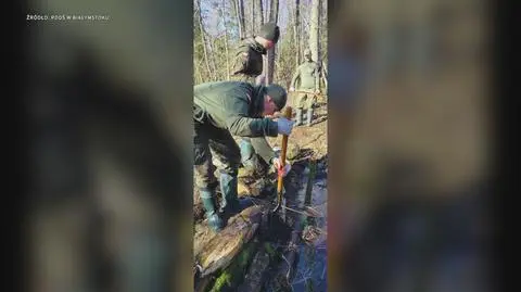 Klatka kluczowa-281153