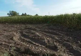 Reporter TVN24 pokazał miejsce upadku drona. "Pole zaorane"