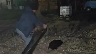 Przechadzał się w pobliżu centrum miasta 