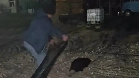 Przechadzał się w pobliżu centrum miasta 