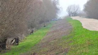 Myśliwi w otulinie Parku Narodowego Ujście Warty