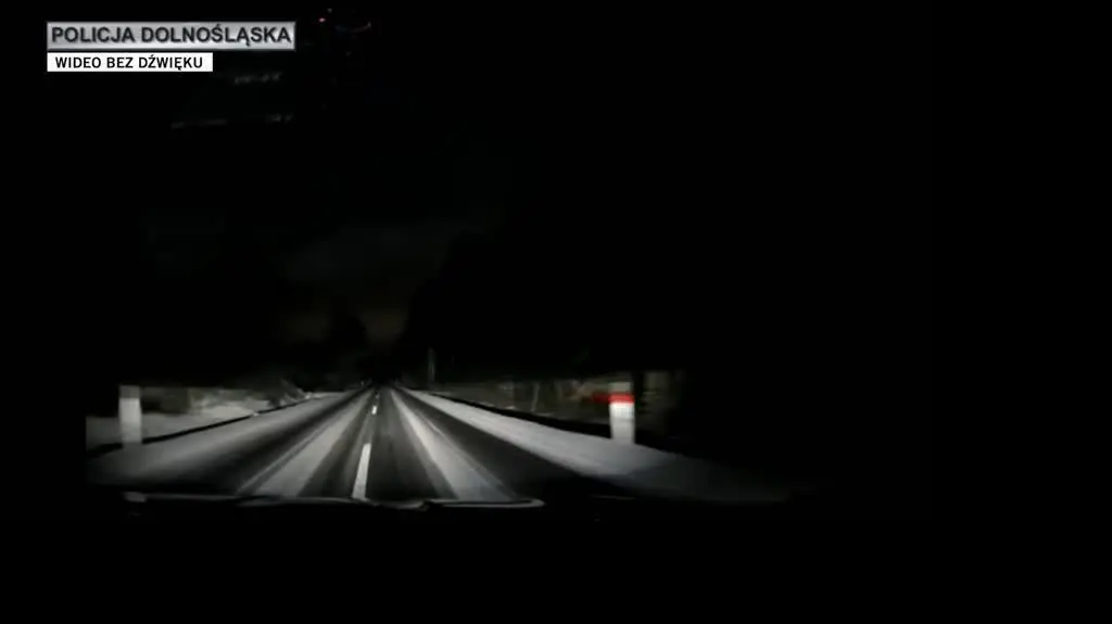 policja