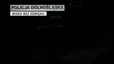 policja