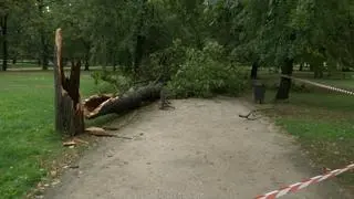 Zniszczenia po nawałnicy przy pałacu w Wilanowie