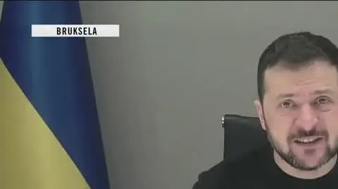 zelenski krotki