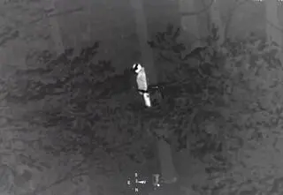 Wyszedł z domu i zniknął. Na śniegu znaleźli ślady, wypatrzyli go ze śmigłowca