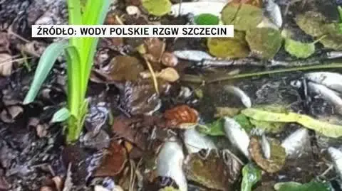 Wody Polskie RZGW