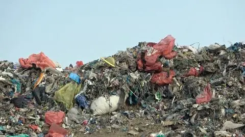 "To, co chciałem, ona pozałatwiała". Żona polityka PiS i wielkie interesy "króla odpadów"