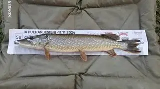 Mężczyźni twierdzili, że złowili łącznie cztery ryby