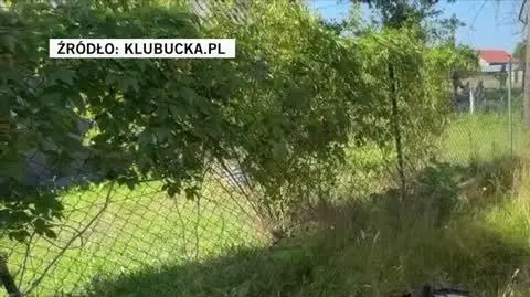 potrącenie rowerzysty