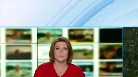 TVN24 Clean_20240824113135(16768)_aac