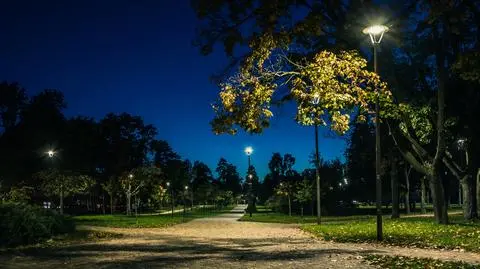 Nocne oświetlenie wpływa negatywnie na liście