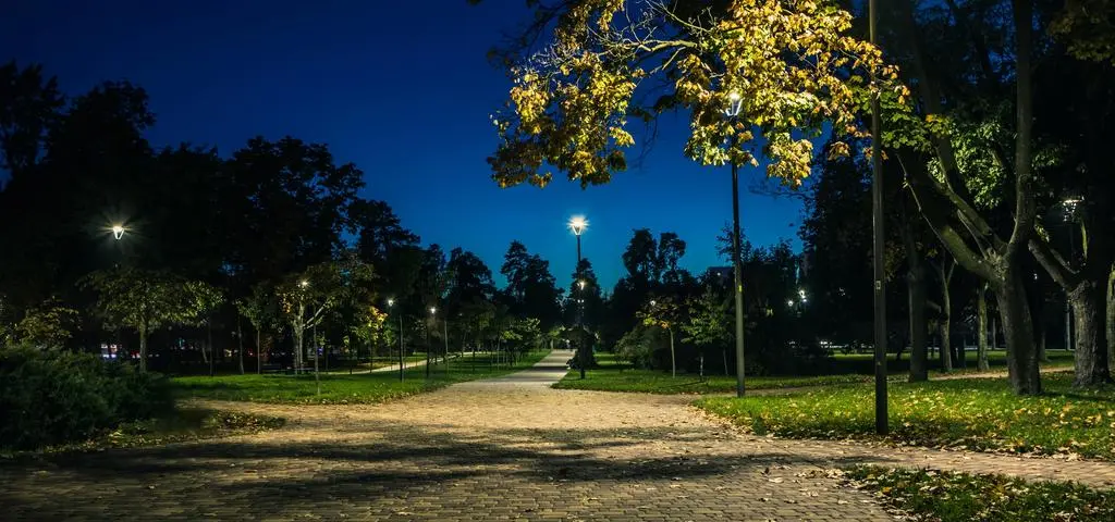 Poronienia u kobiet, rak prostaty u mężczyzn. Jak bardzo szkodzi nam sztuczne światło?