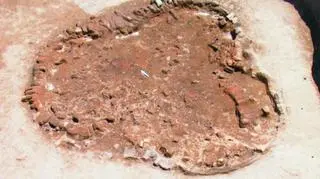 Badaczka wzorowała się na zachowanych strukturach budowli