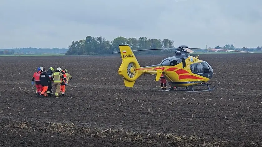 Bus uderzył w drzewo. Dwoje dorosłych i dwoje dzieci w szpitalach
