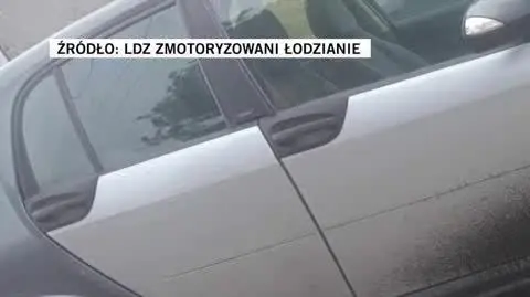 ldz