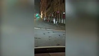 Włoch Diego Fenicchia, jadąc samochodem przez Rzym w piątkowy poranek, zobaczył setki martwych ptaków na ulicach