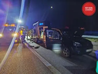 W przyczepce były dwa konie 