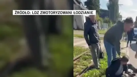 LDZ Zmotoryzowani Łodzianie