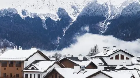 shutterstock_516043921