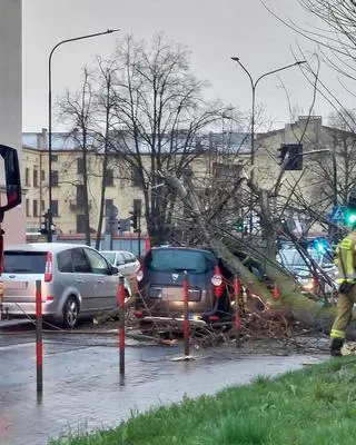 Kraków, ul. Reymonta. Drzewo spadło na samochód