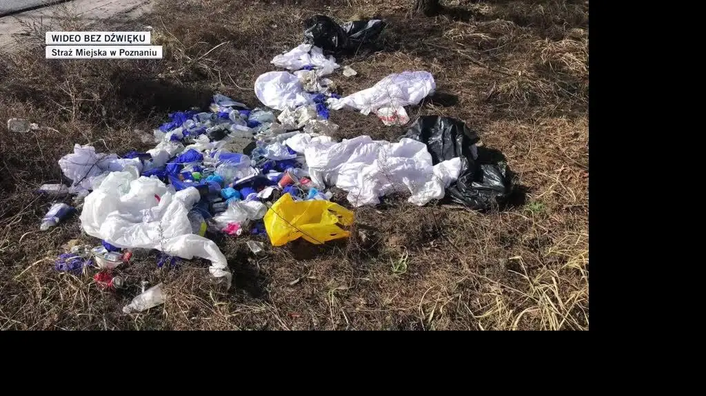 slajdszoł dla Oli