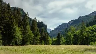 Brakuje etatów i pieniędzy na inwestycje. Górskie ratownictwo ma ogromne potrzeby