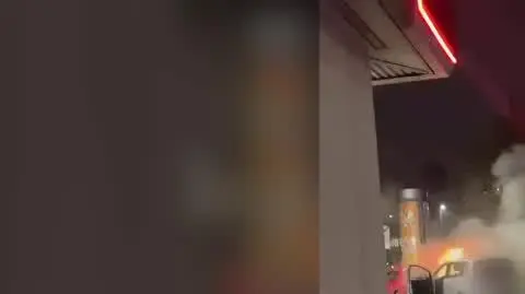 bako 