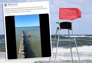 "Jedna z najczęstszych przyczyn śmierci w Bałtyku"
