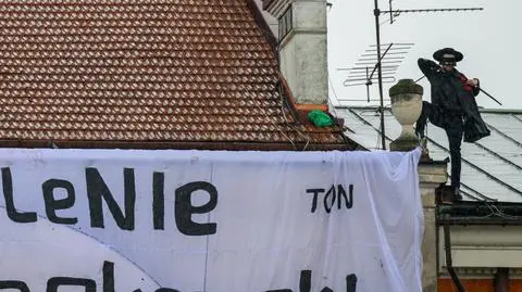 Zorro obcięte