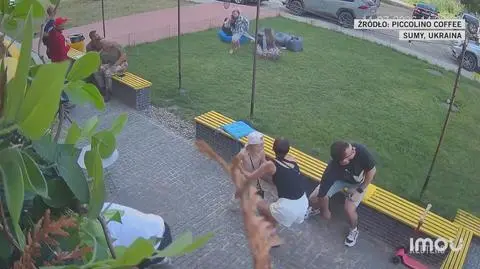 Klatka kluczowa-555699