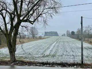 Opady śniegu w okolicach Cegłowa w powiecie mińskim