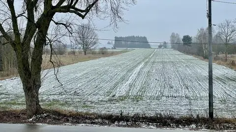 W części Polski spadł śnieg