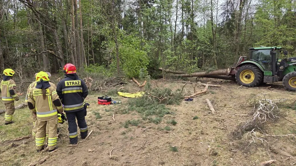 Wypadek podczas wycinki drzew