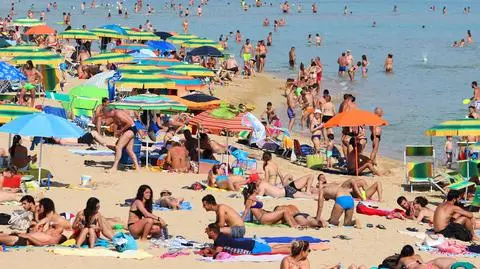 Walczą z "parasolowymi spryciarzami". Wielka konfiskata na plaży