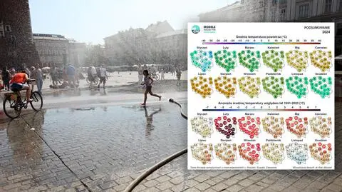 Te mapy pokazują, jak gorący był 2024 rok w Polsce. "Luty był gamechangerem"
